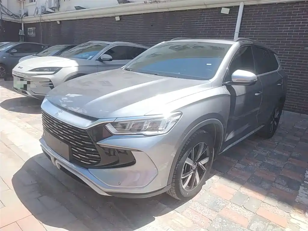 BYD Pro New Energy 2024 — фото 2