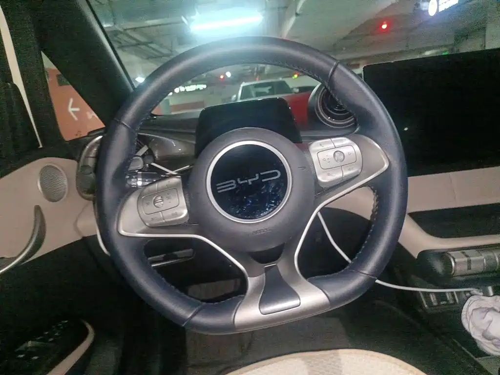 BYD Dolphin 2024