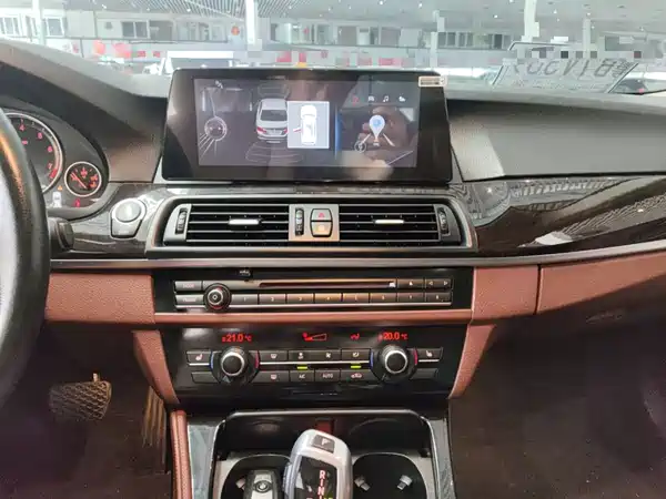 BMW 5 Series 2014