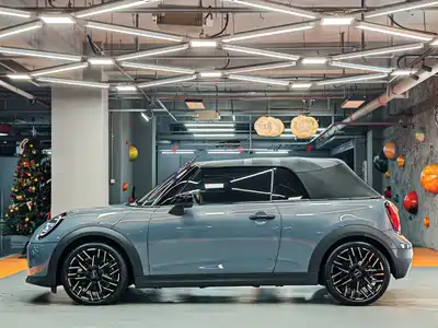MINI MINI 2025