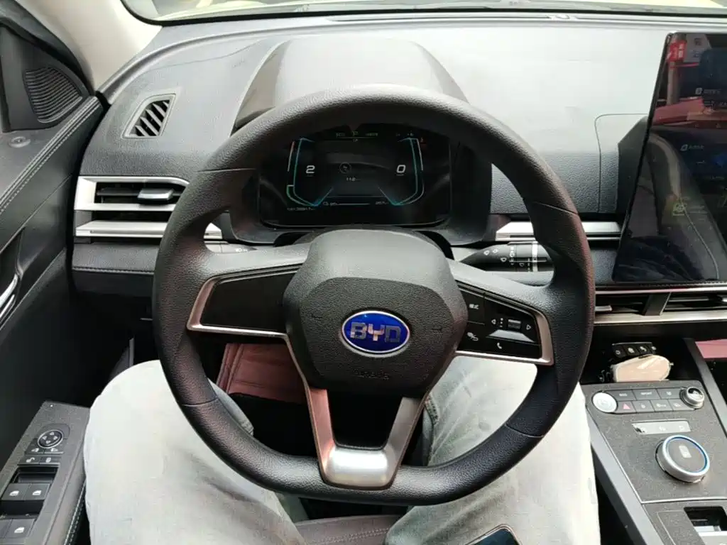 BYD e2 2021