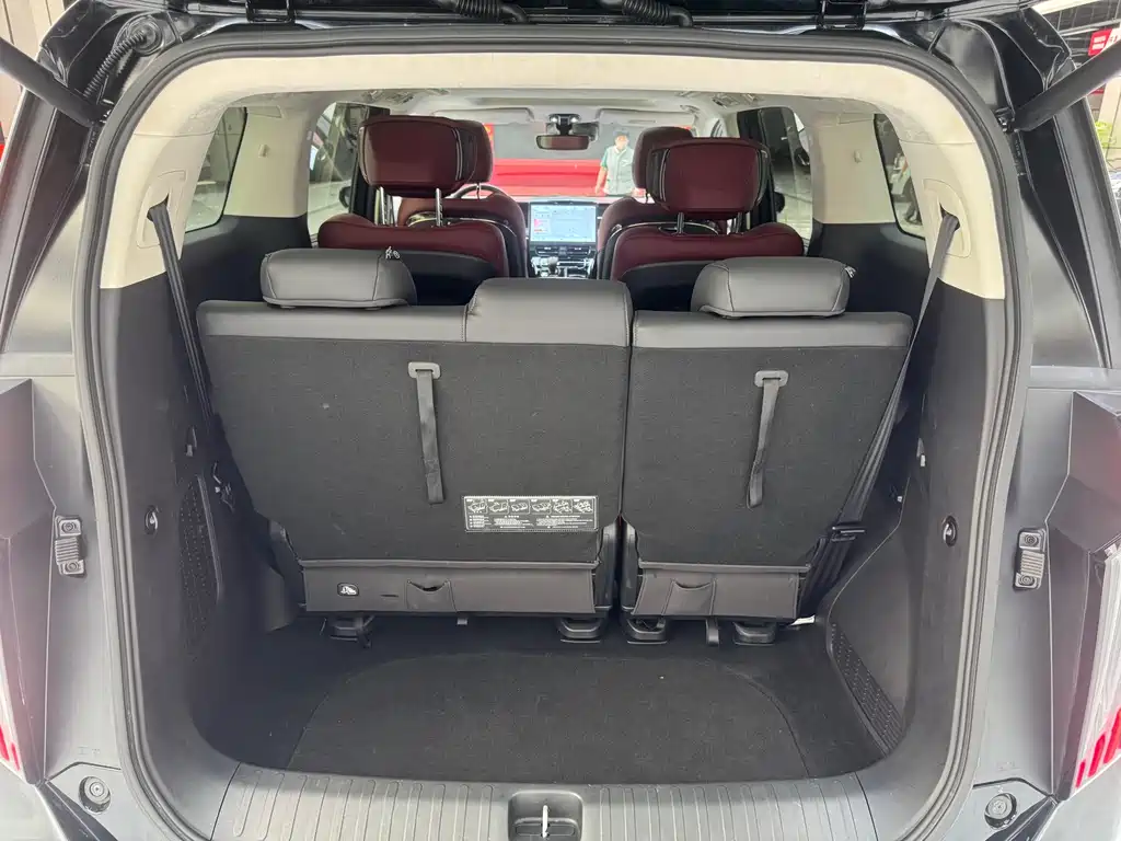 GAC Motor Trumpchi E9 2024 — фото 13