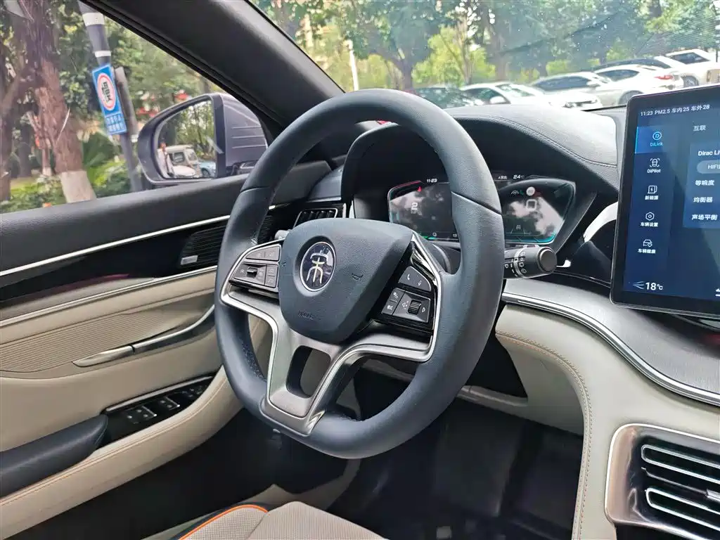 BYD PLUS New Energy 2022 — фото 12