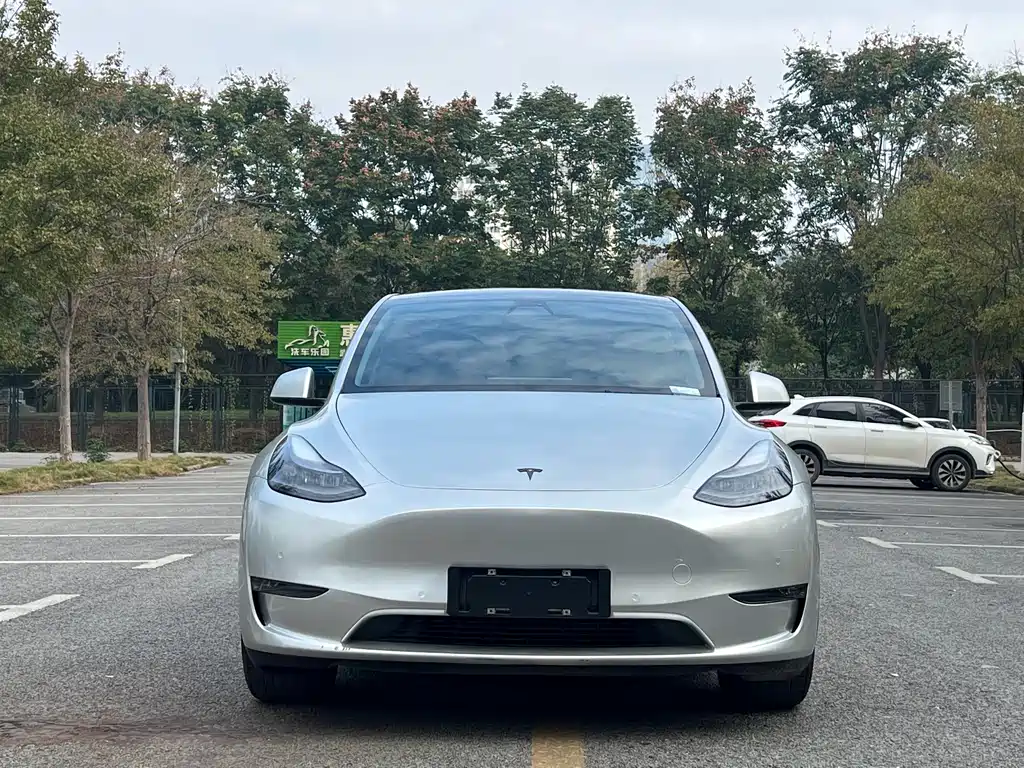 Tesla Model Y 2021 — фото 2