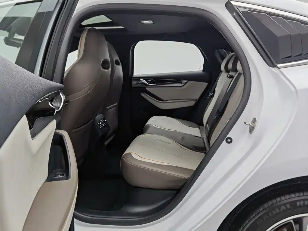 BYD Qin PLUS 2023 — фото 15