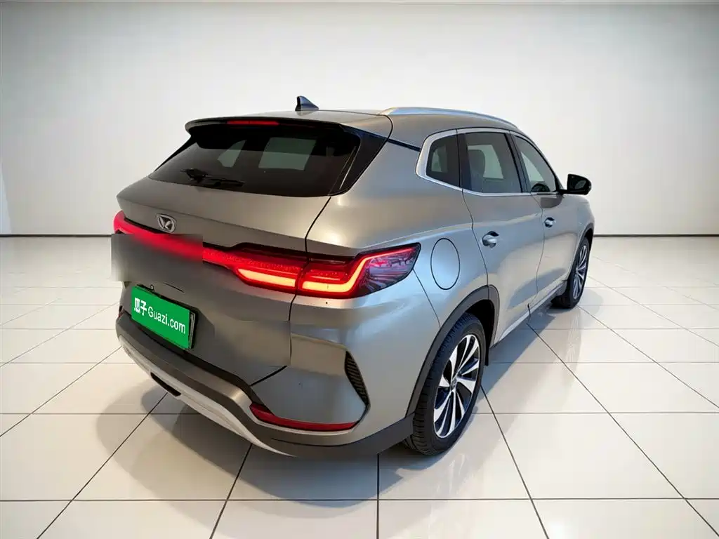 BYD PLUS New Energy 2023 — фото 6
