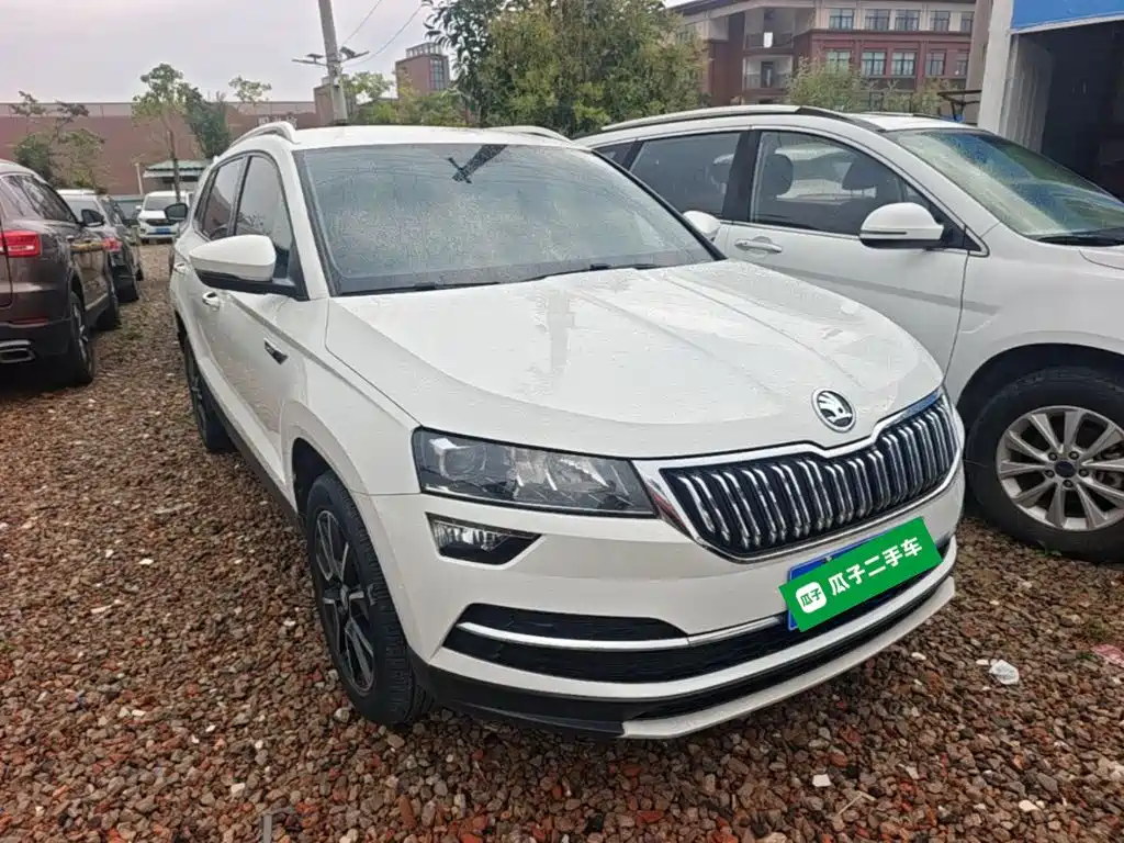 Skoda Karoq 2021 — фото 4