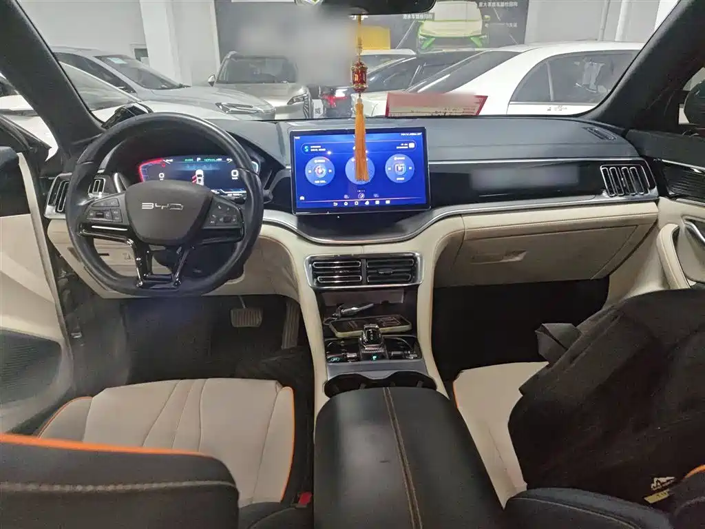 BYD PLUS New Energy 2023 — фото 6