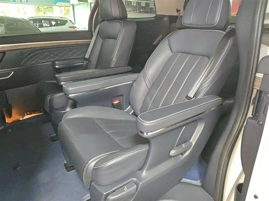 GAC Motor Trumpchi M8 2020 — фото 13