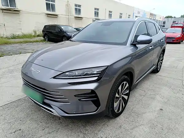 BYD Song PLUS New Energy 2024
