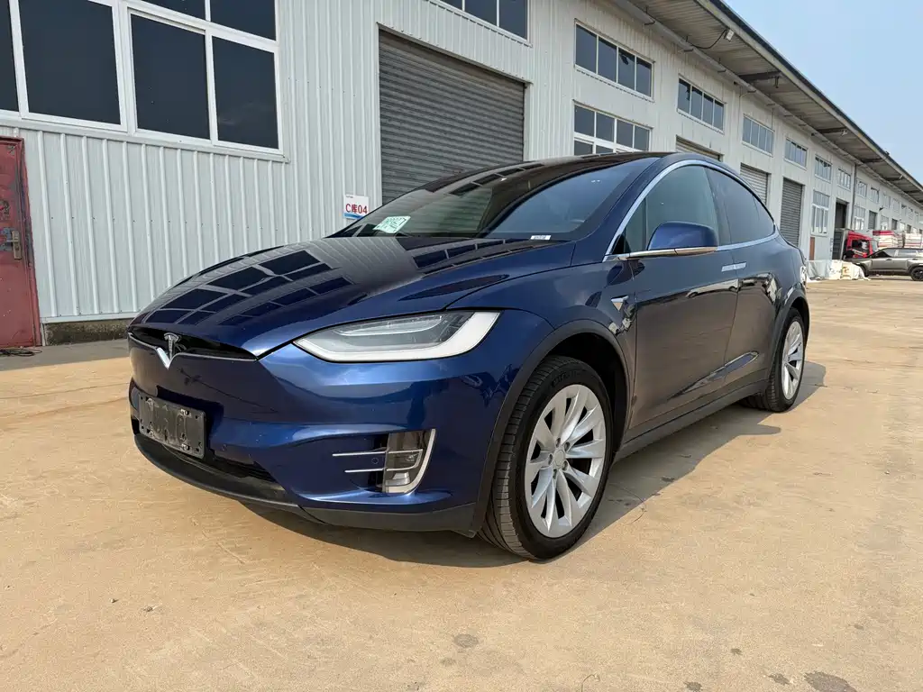 Tesla Model X 2021 — фото 1
