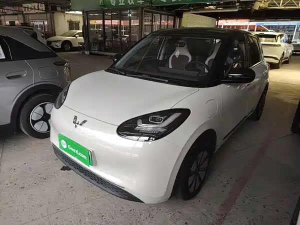 Wuling Bingo 2024