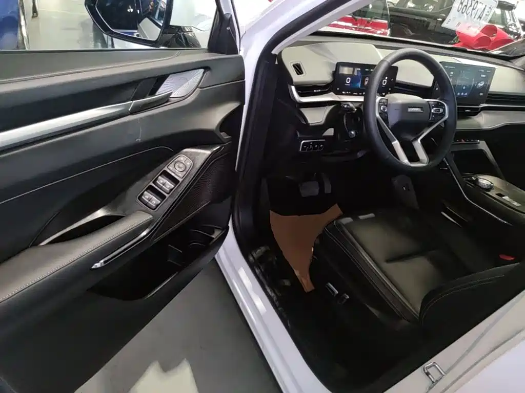 Haval H6 New Energy 2022 — фото 16