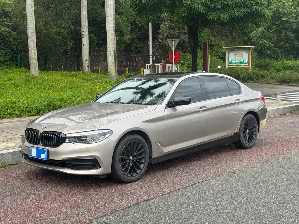 BMW 5 Series 2020