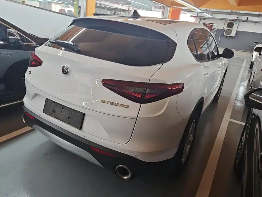 Alfa Romeo Stelvio 2019 — фото 3