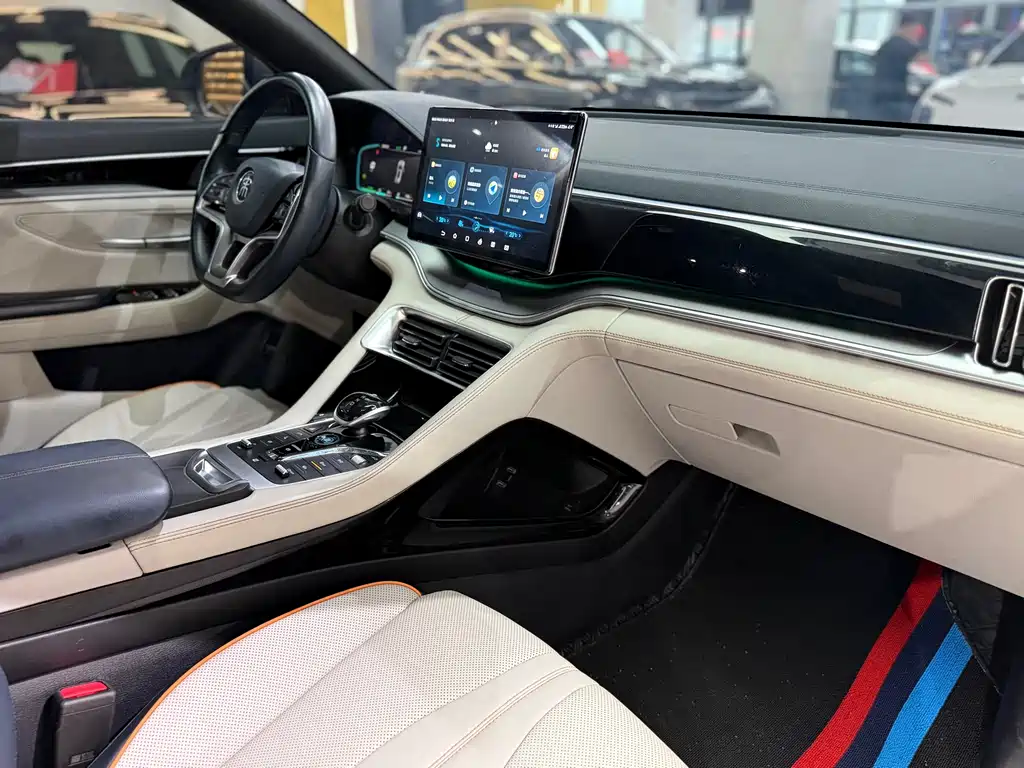 BYD PLUS New Energy 2023 — фото 11