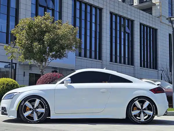 Audi TTS 2013