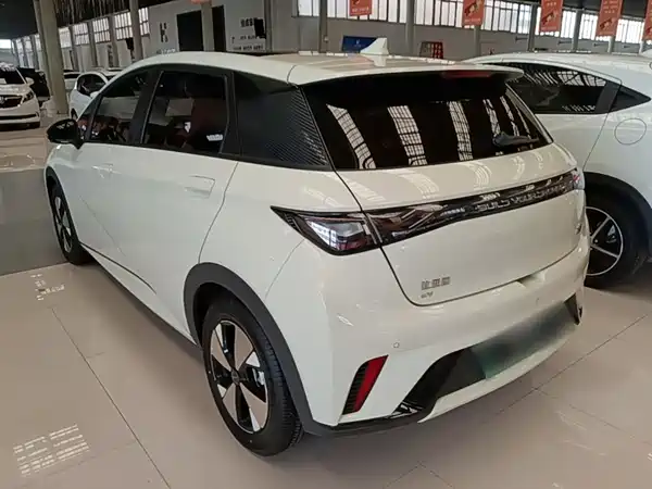 BYD Dolphin 2024