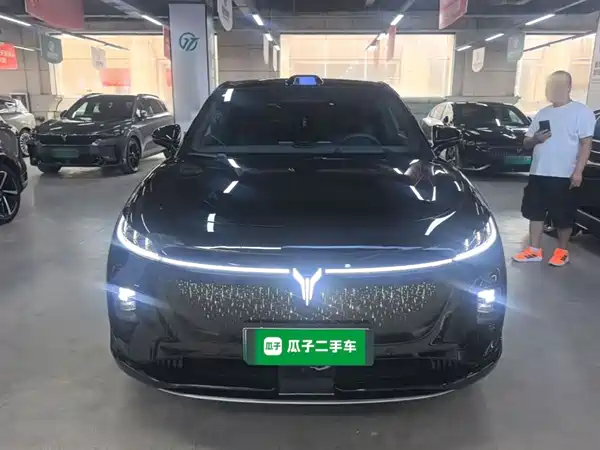 Voyah Zhiyin 2025