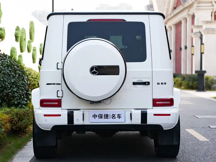 Mercedes-Benz G-Class 2020 — фото 29