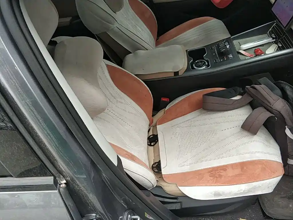 BYD Pro New Energy 2025 — фото 25