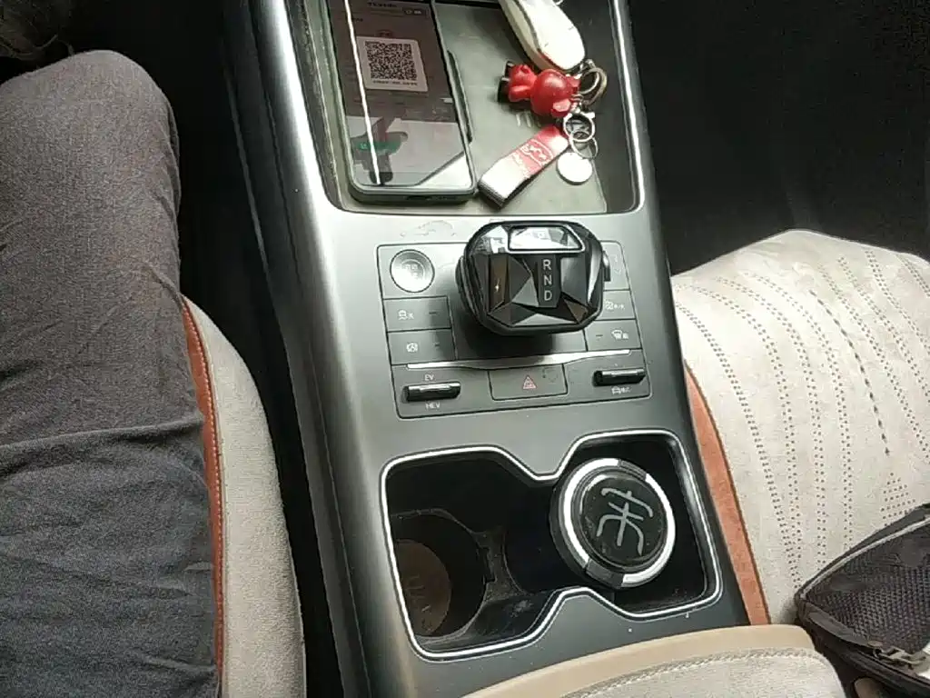 BYD Pro New Energy 2025 — фото 14