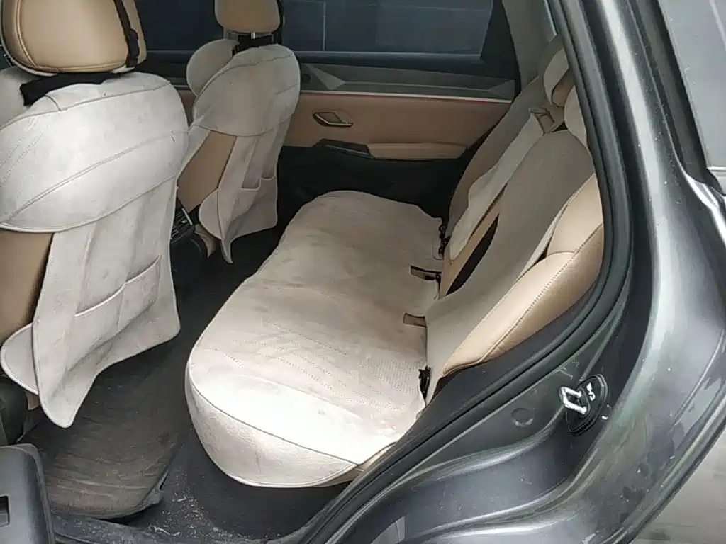 BYD Pro New Energy 2025 — фото 17
