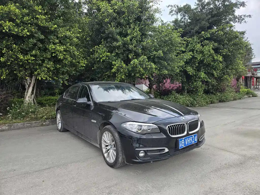 BMW 5 Series 2015