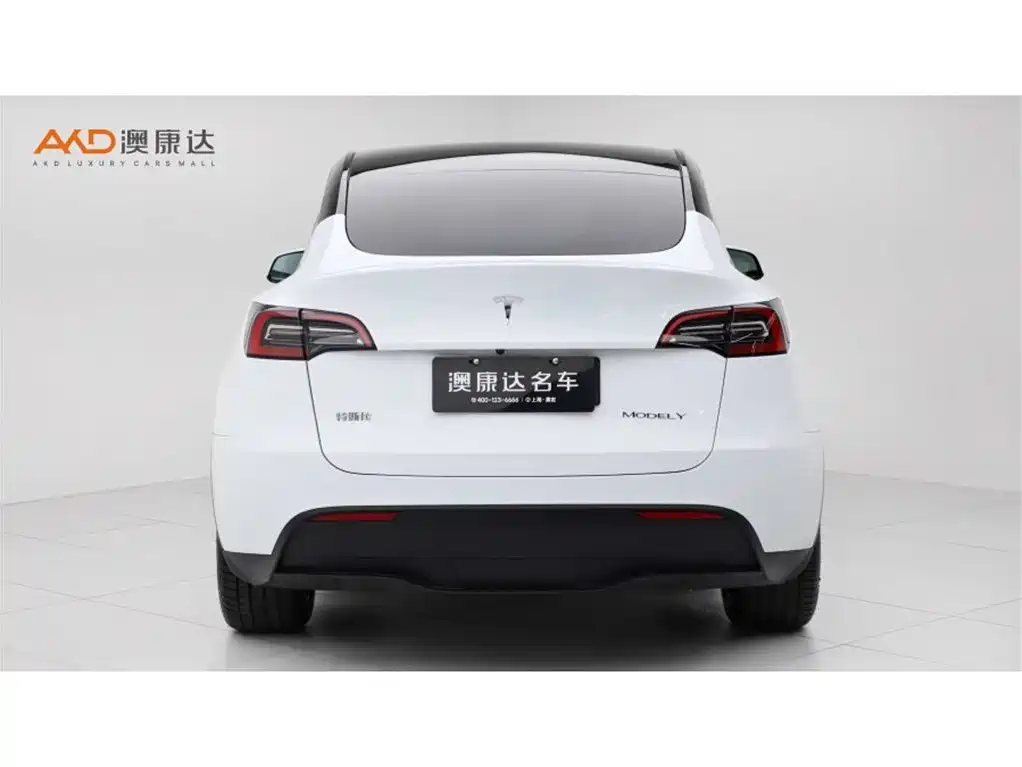 Tesla Model Y 2023 — фото 4