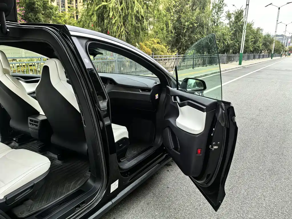 Tesla Model X 2019 — фото 9