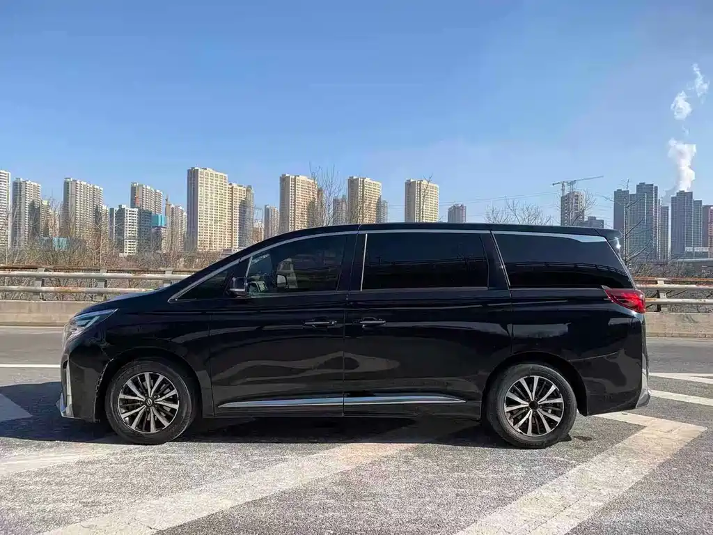 GAC Motor Trumpchi M8 2022 — фото 9