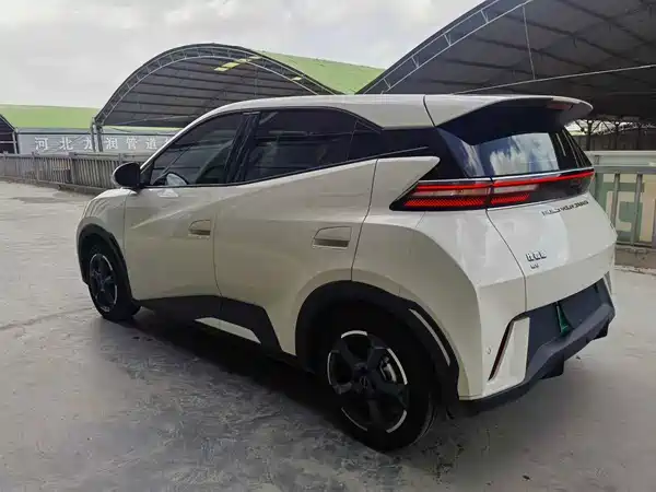 BYD Seagull 2024