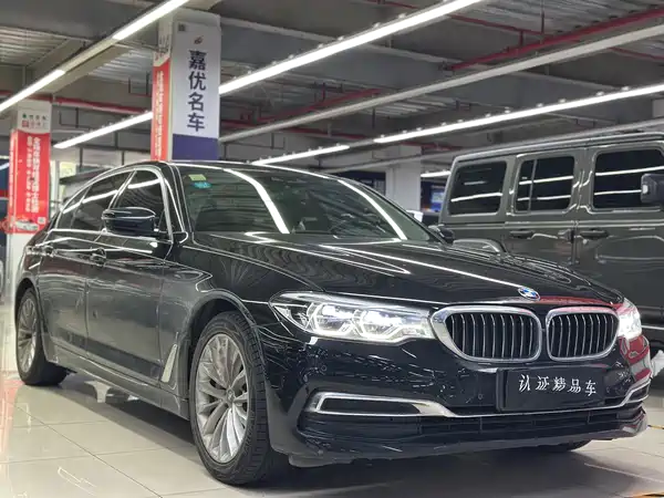 BMW 5 Series New Energy 2019