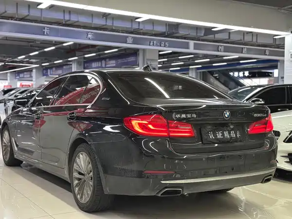 BMW 5 Series New Energy 2019