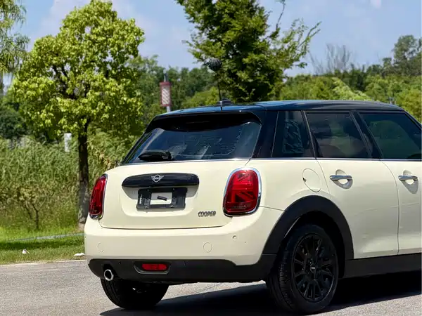 MINI 2019