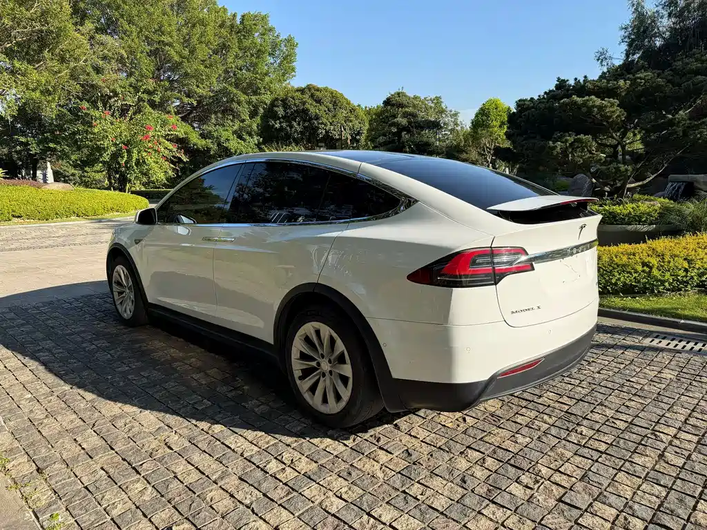 Tesla Model X 2016 — фото 9