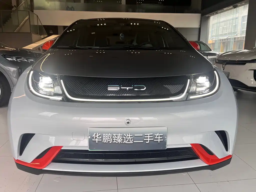 BYD Dolphin 2021