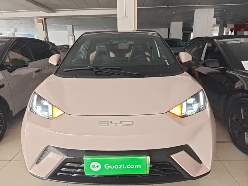 BYD Seagull 2024