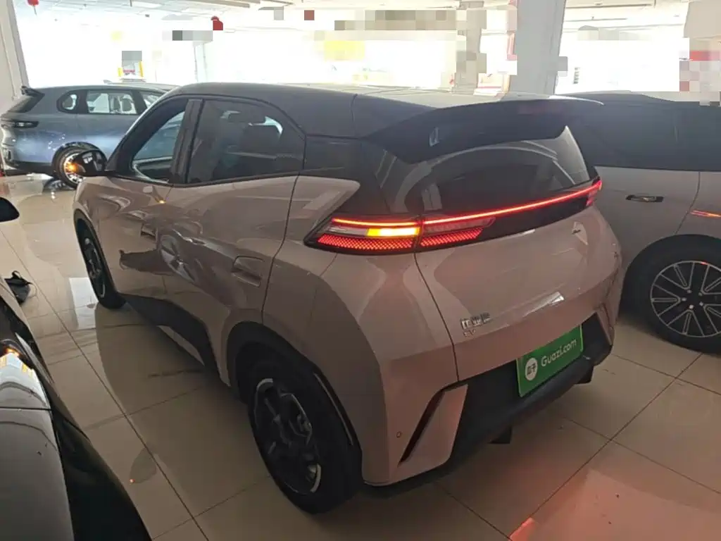 BYD Seagull 2024