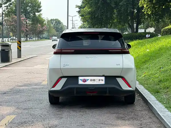 BYD Seagull 2024