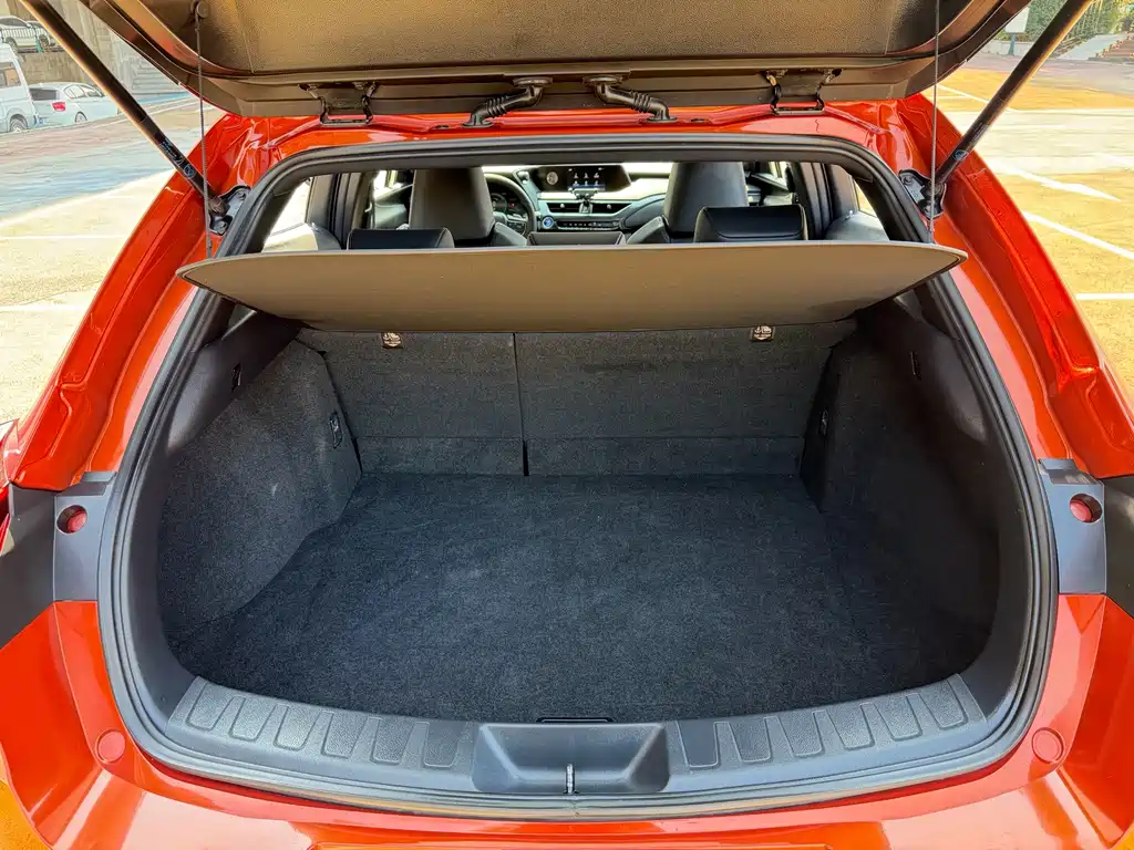 Lexus UX New Energy 2020 — фото 15