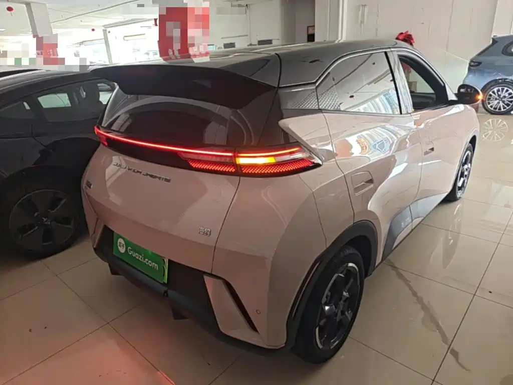 BYD Seagull 2024