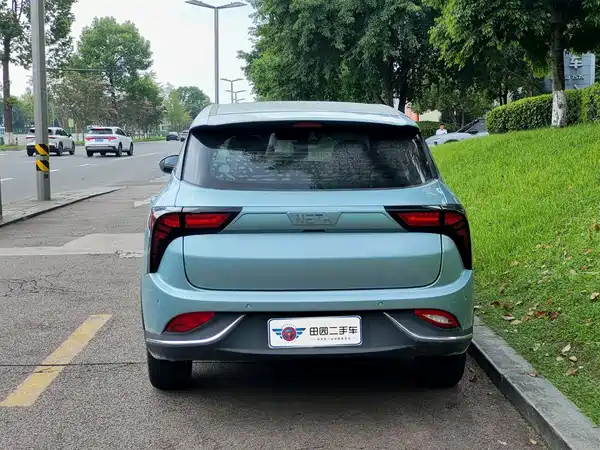 Neta V 2022