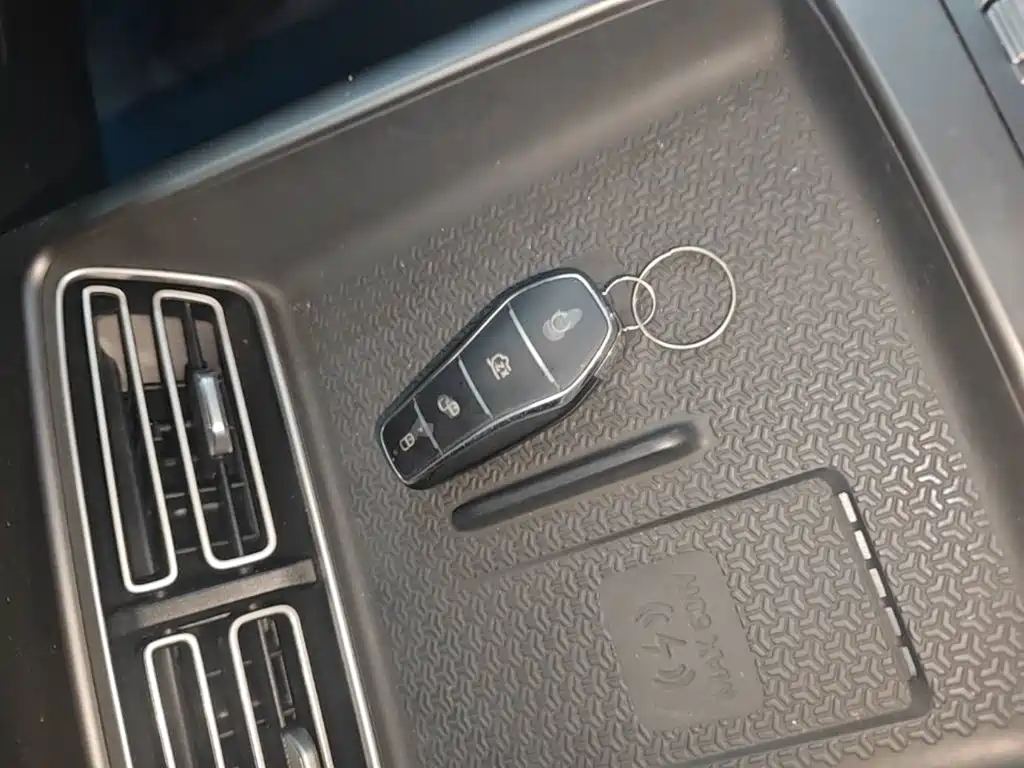 BYD Song Pro New Energy 2025 — фото 9