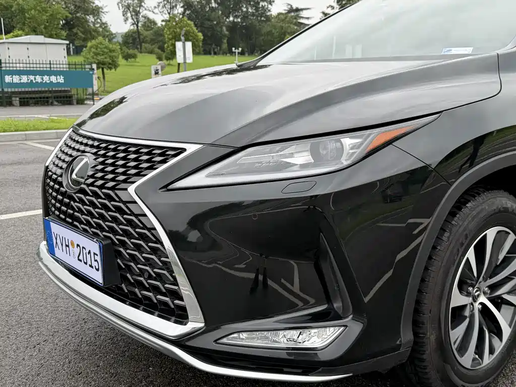 Lexus RX 2020 — фото 14