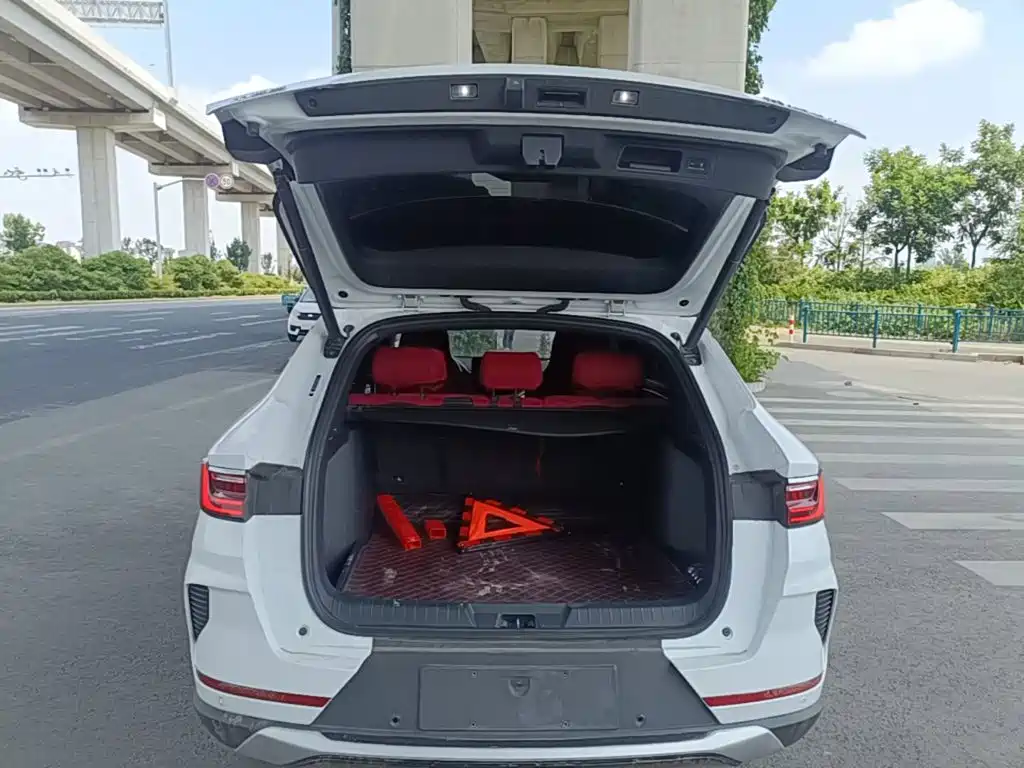 BYD PLUS New Energy 2022 — фото 19