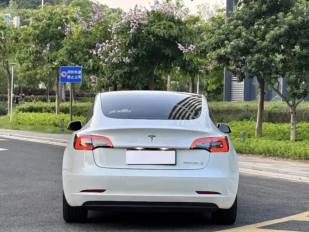 Tesla Model 3 2021 — фото 9