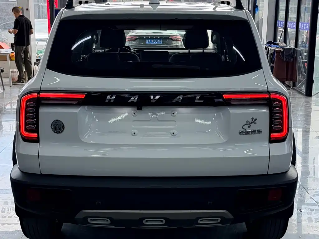 Haval Big Dog 2021 — фото 10