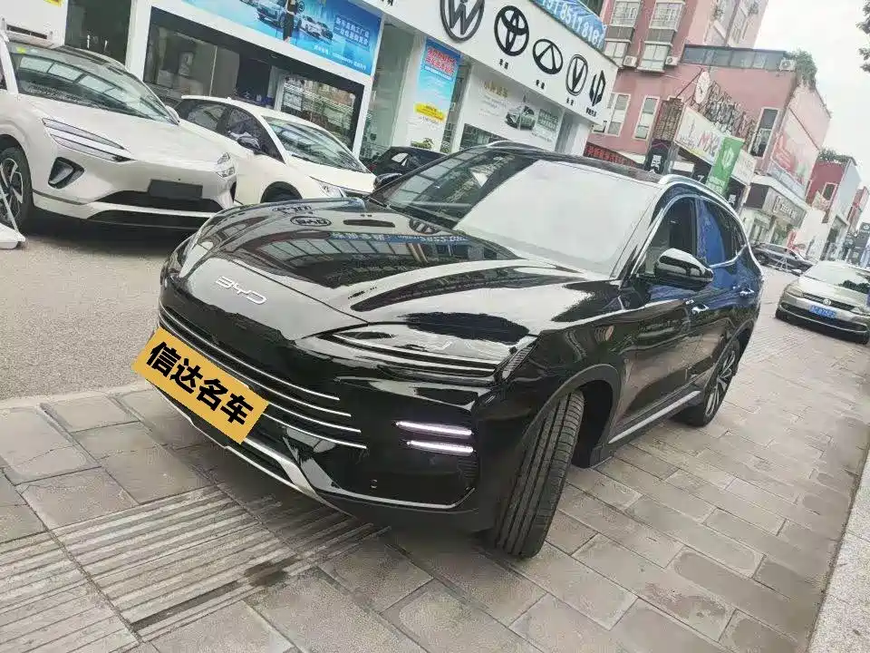 BYD PLUS New Energy 2024