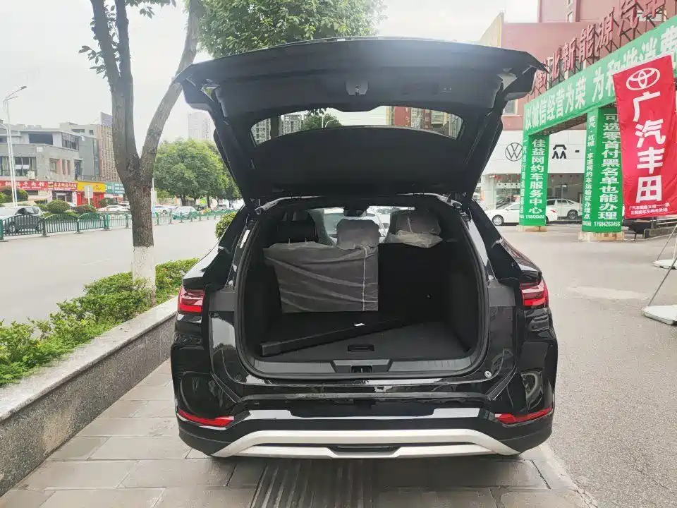 BYD PLUS New Energy 2024 — фото 8
